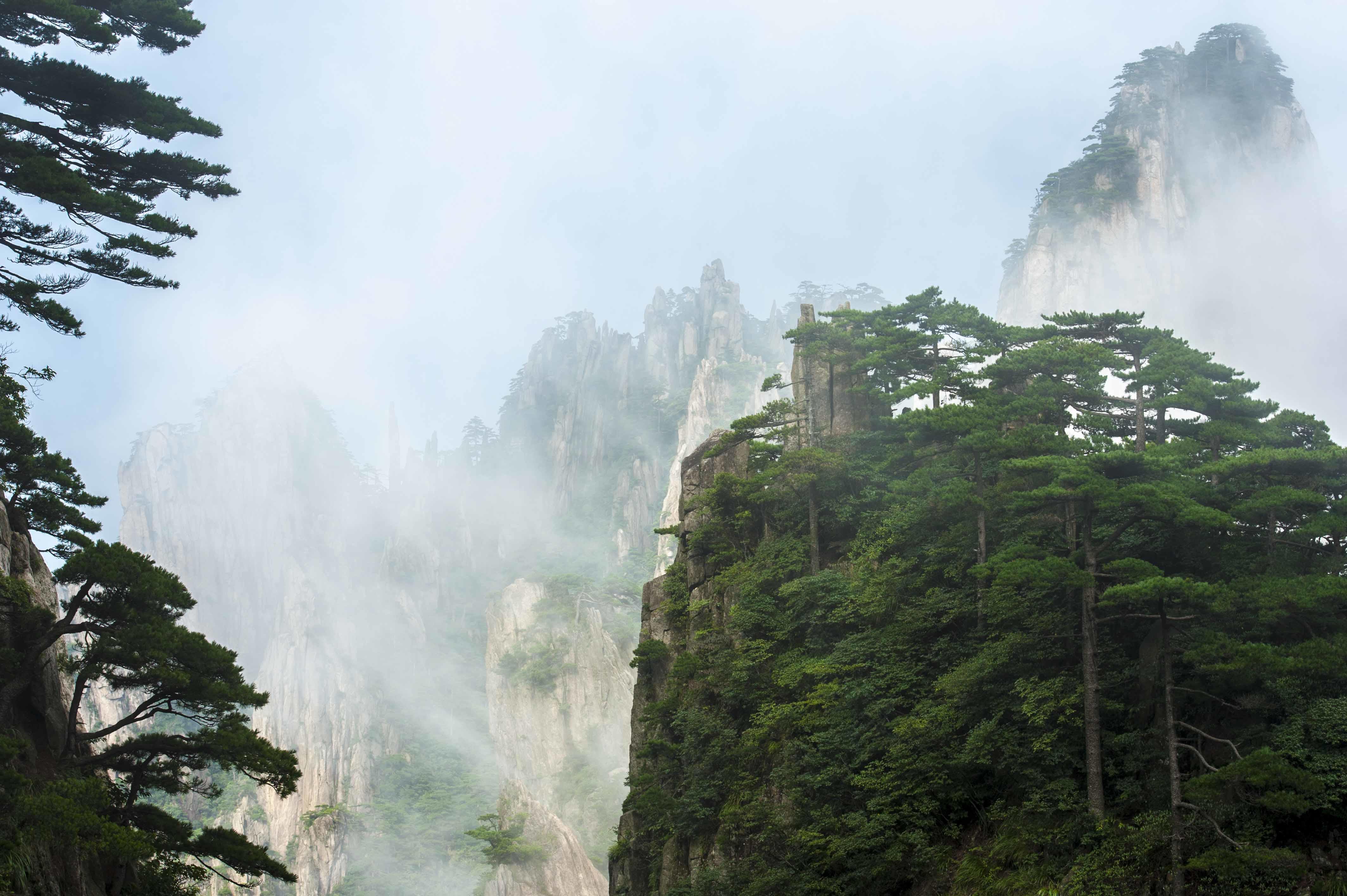 黄山奇松怪石