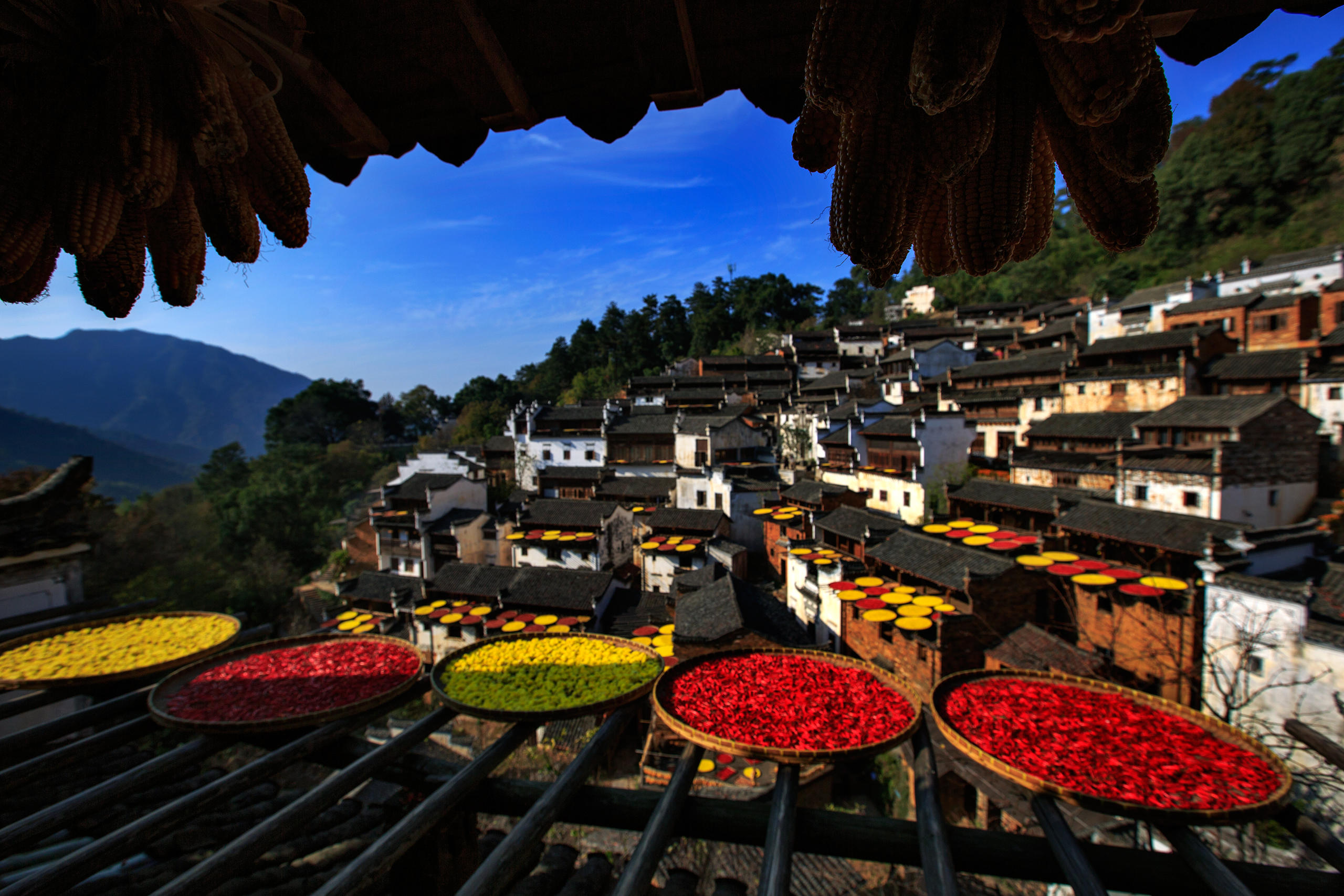 婺源石城迷雾、篁岭晒秋、塔川、梦幻秋色_游记_游侠论潭 -
