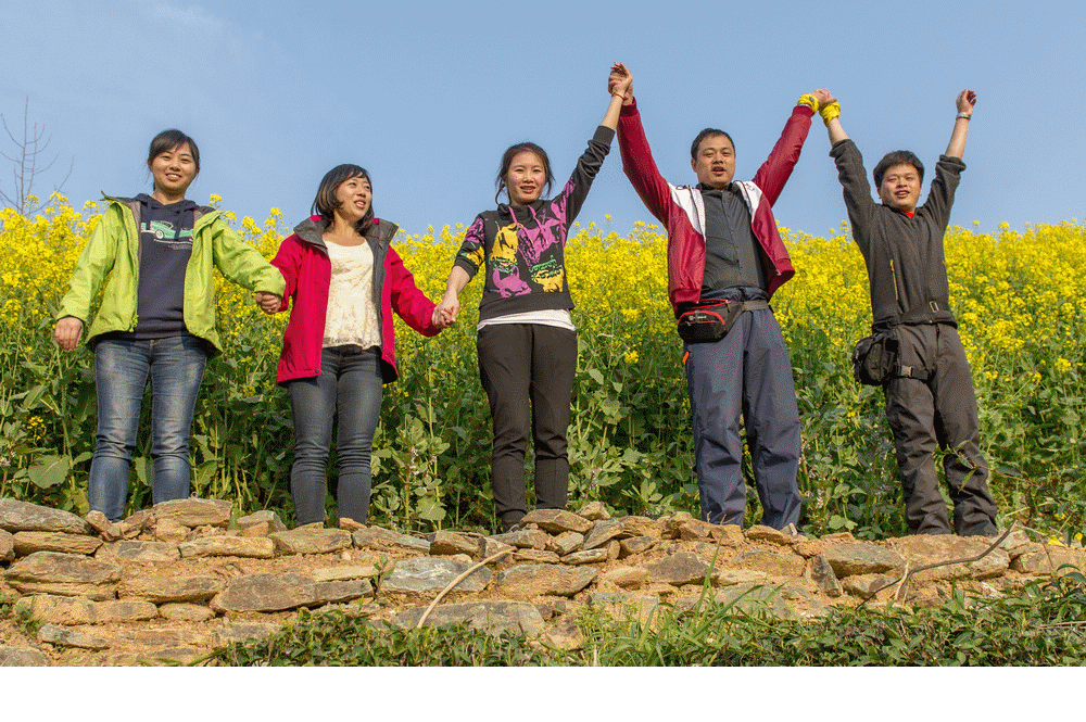 壁纸 成片种植 风景 植物 种植基地 桌面 1000_665 gif 动态图 动图
