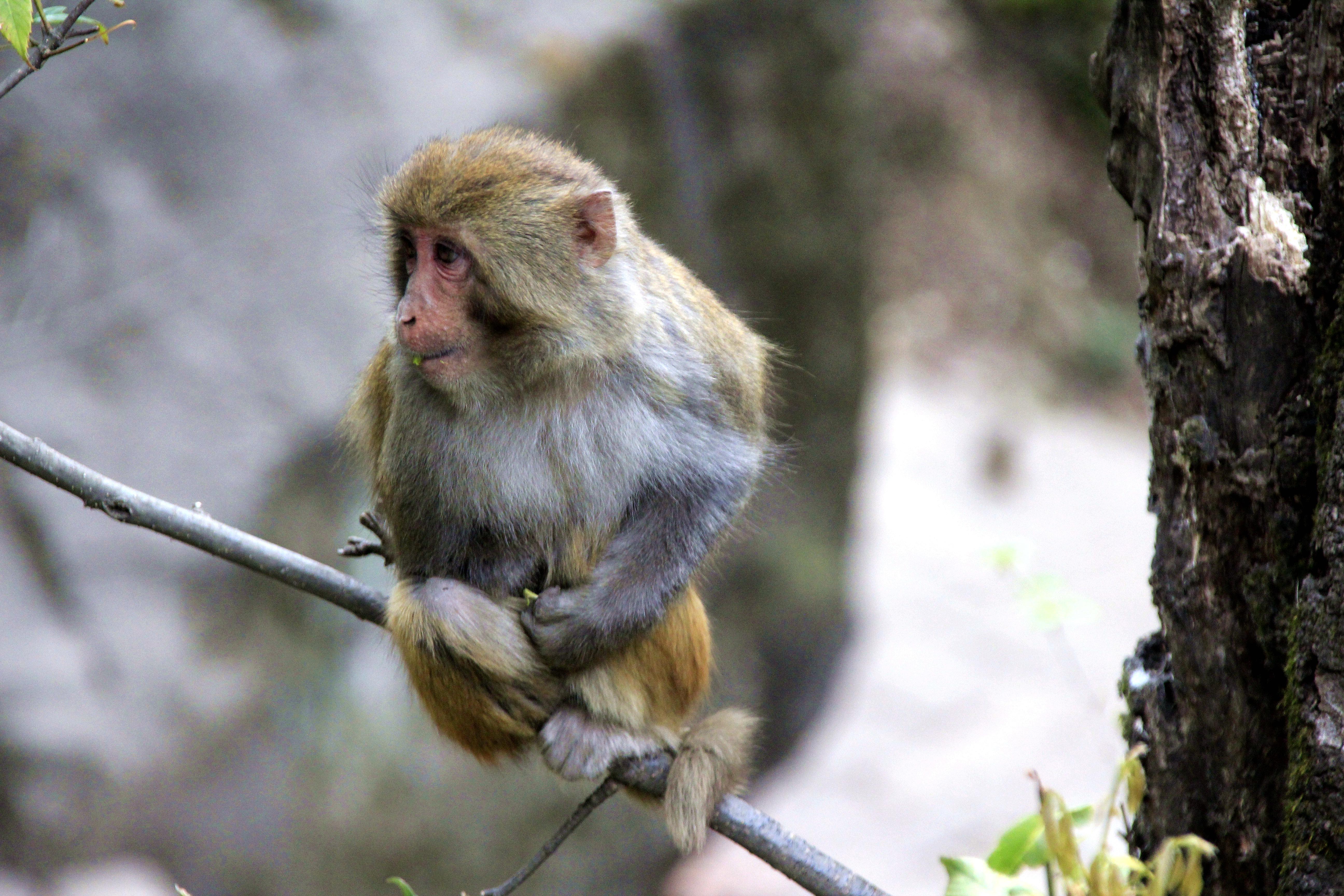 中的滇西北】古道 西风 瘦马,小桥 流水 人家。