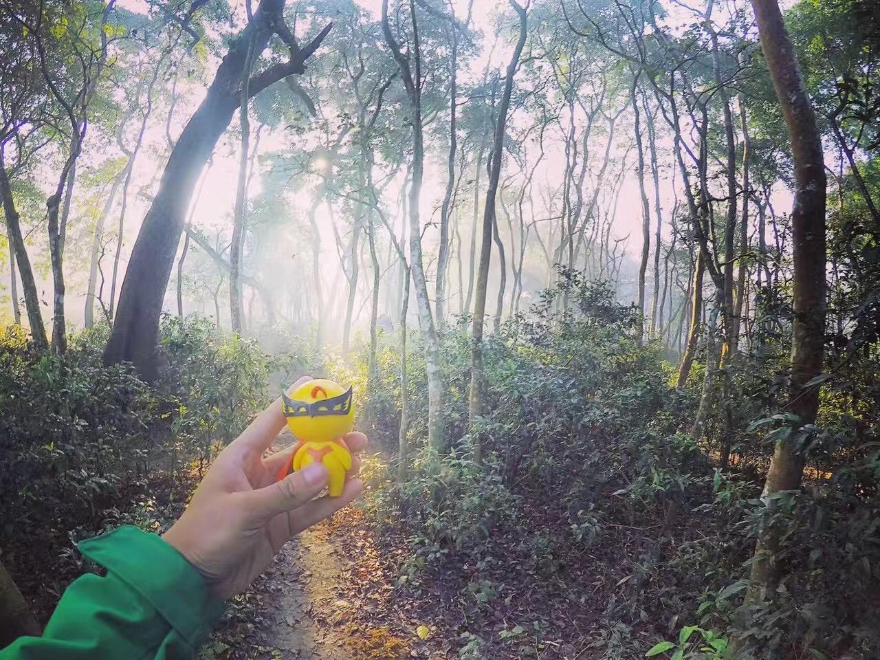 喜马拉雅山麓下,那真实存在的卡玛泰姬!