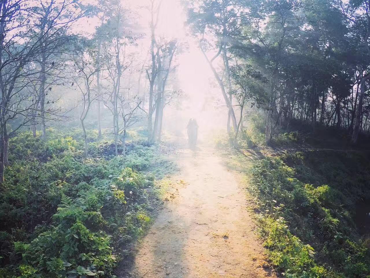 喜马拉雅山麓下,那真实存在的卡玛泰姬!