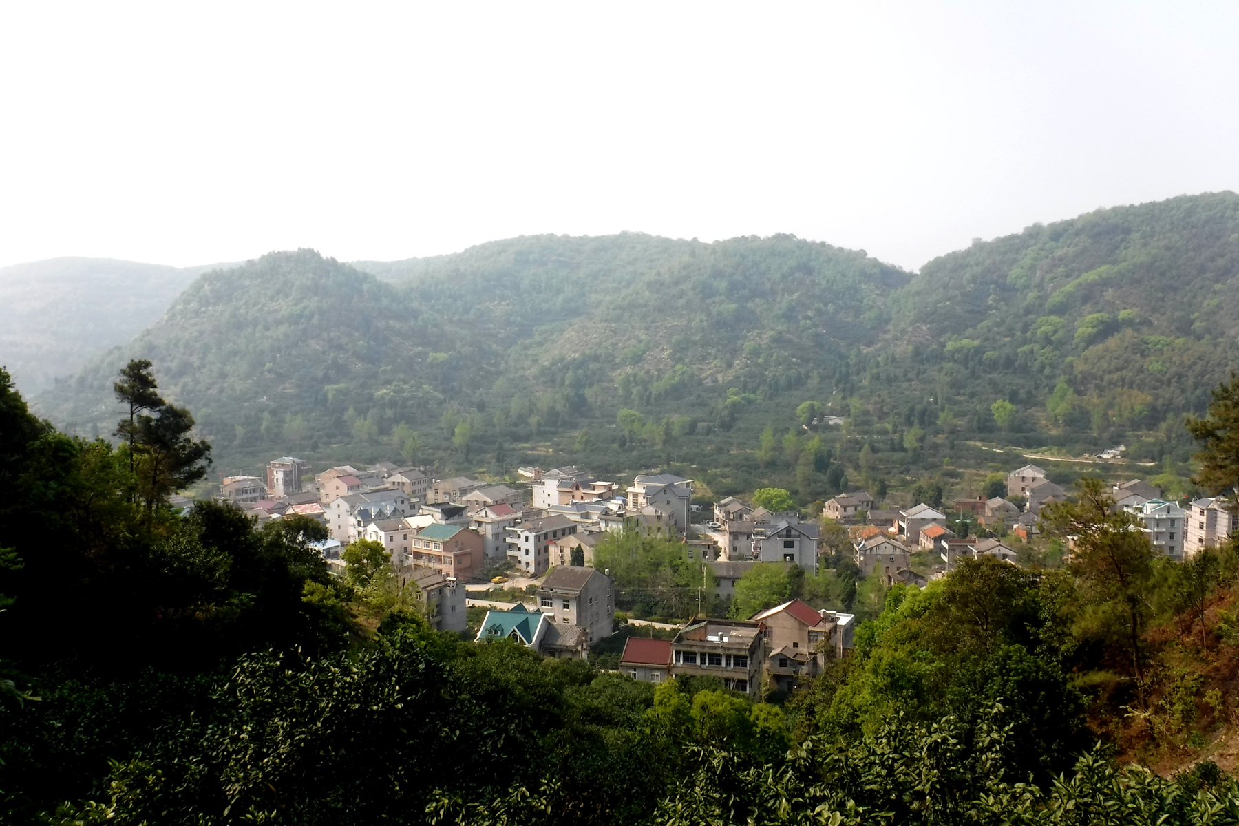 武坑村全景