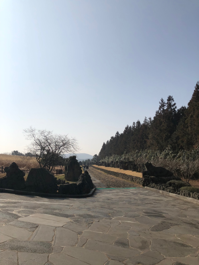 最好看的海景~济州岛