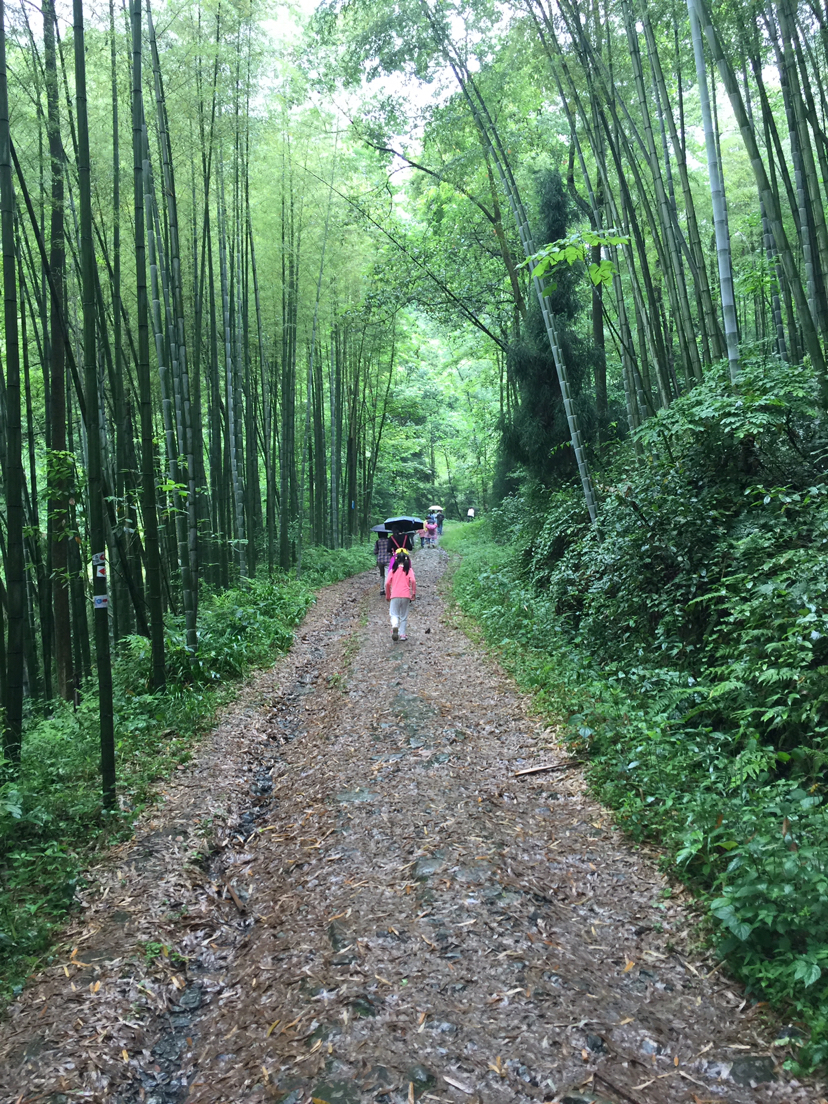 柒月麓山,绵竹旅游攻略-游侠客社区