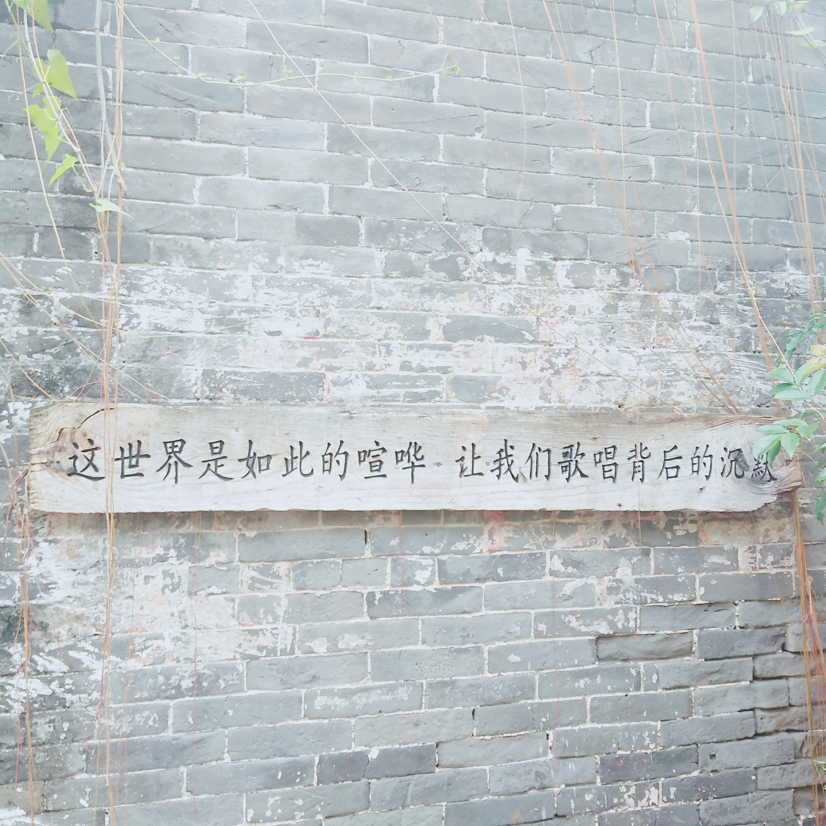 尚未人知的英雄岛-淇澳岛