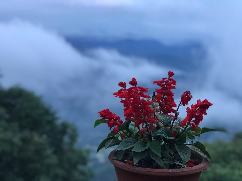 神秘的尼泊尔之旅——喜马拉雅山下的冥想