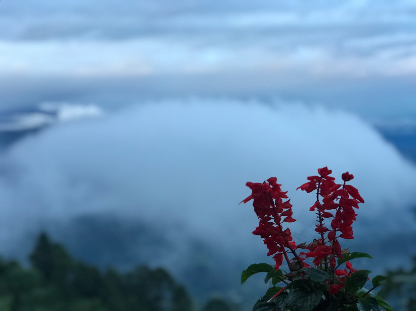 神秘的尼泊尔之旅——喜马拉雅山下的冥想
