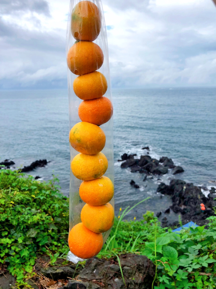 自然平静济州岛