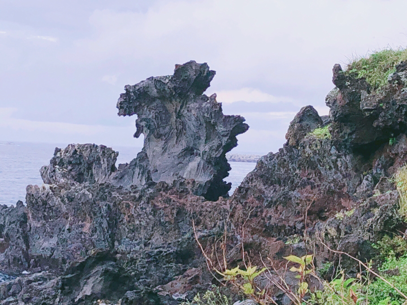 自然平静济州岛
