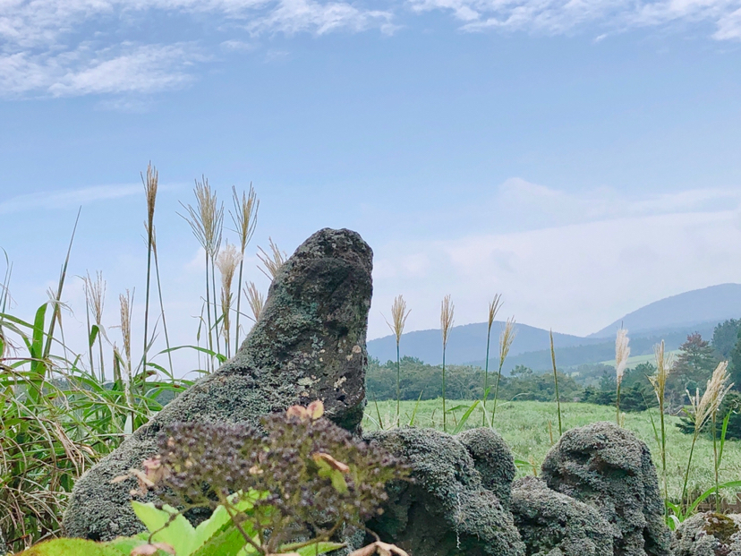 自然平静济州岛