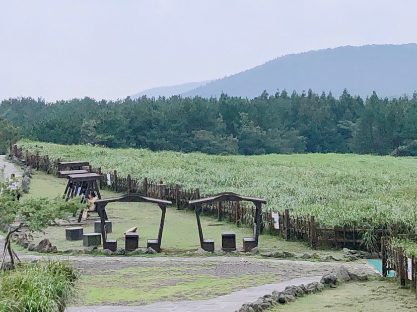 自然平静济州岛