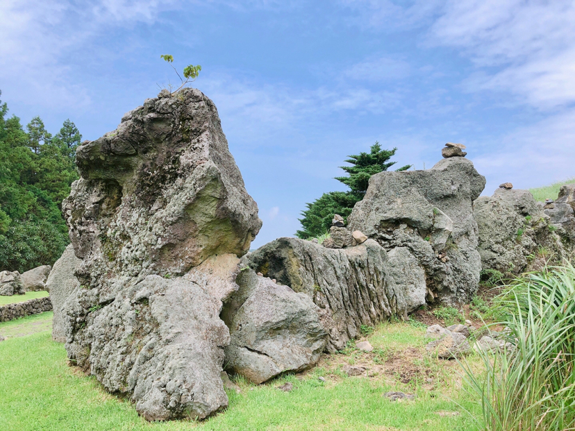 自然平静济州岛