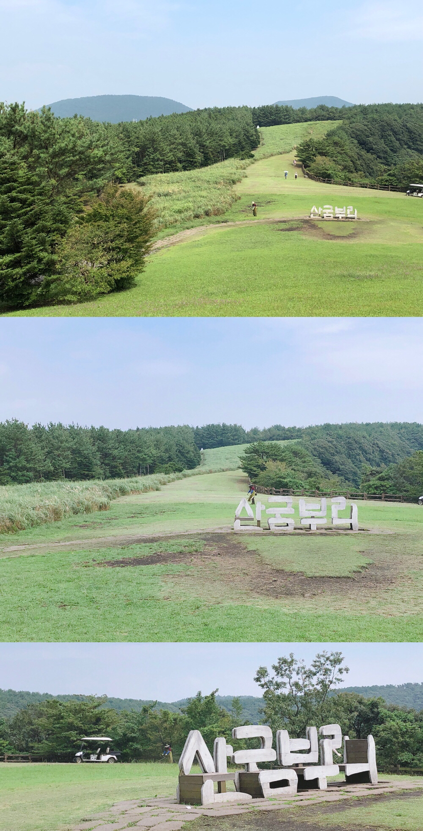 自然平静济州岛
