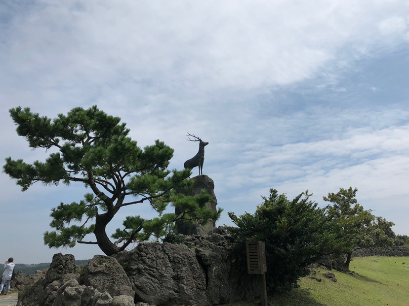 自然平静济州岛