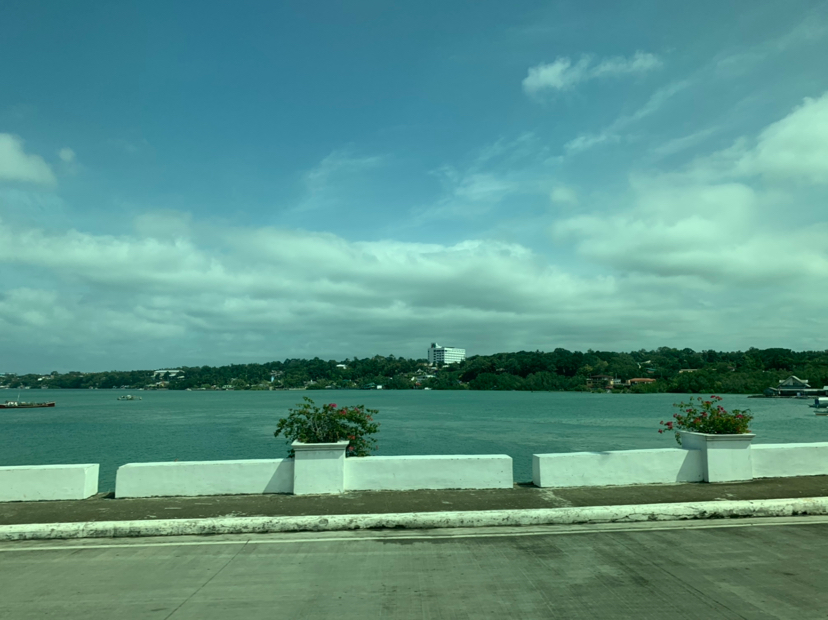 台风里的薄荷岛