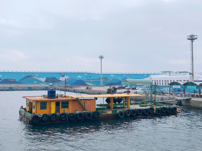 自然平静济州岛