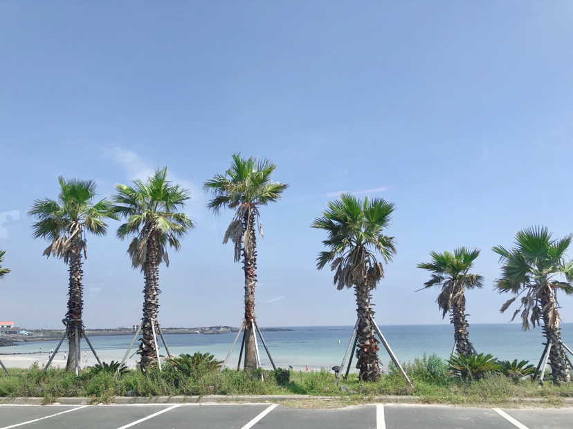 自然平静济州岛