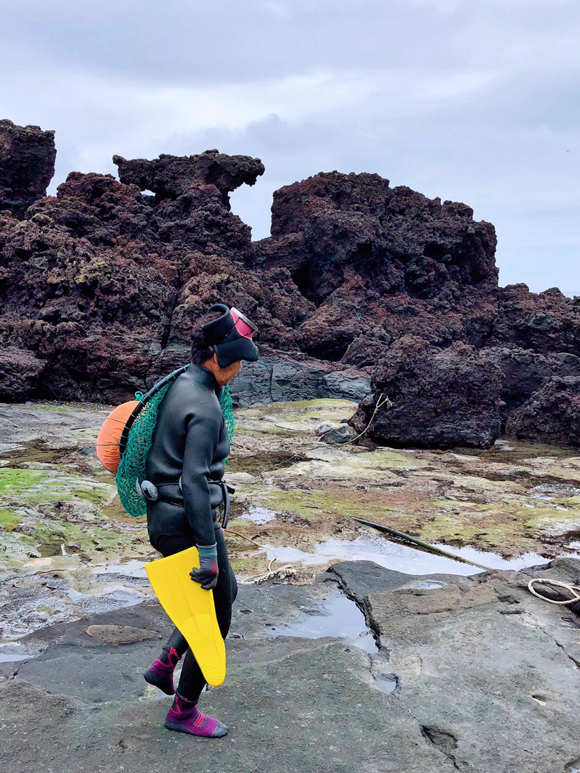 自然平静济州岛