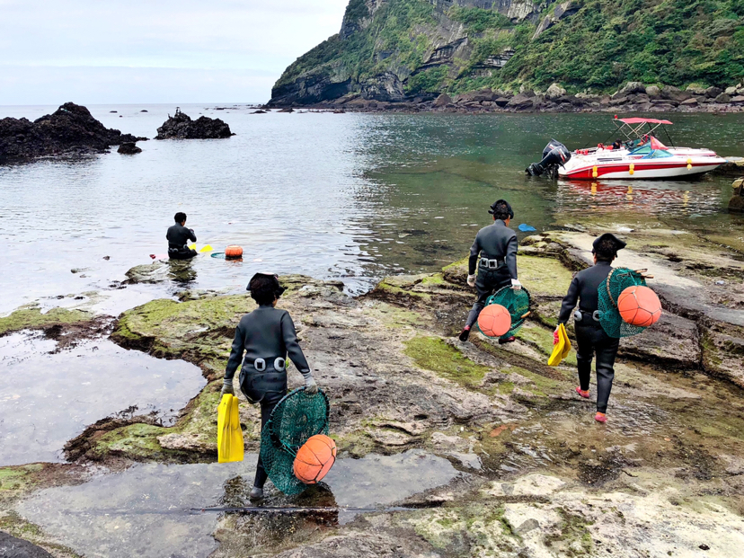 自然平静济州岛