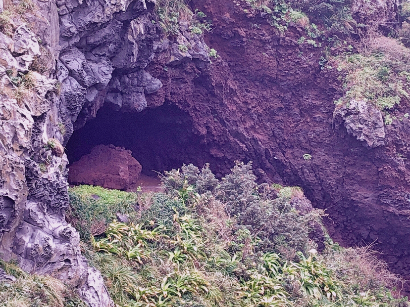 自然平静济州岛
