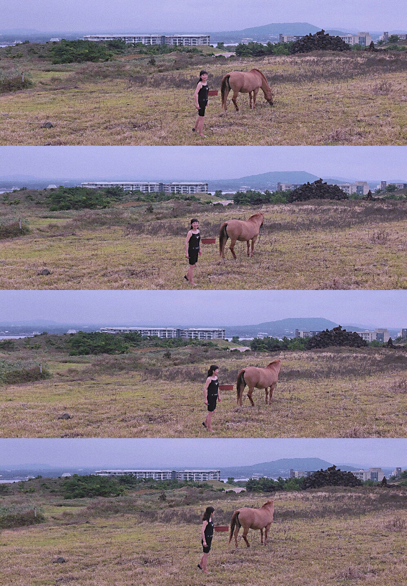 自然平静济州岛