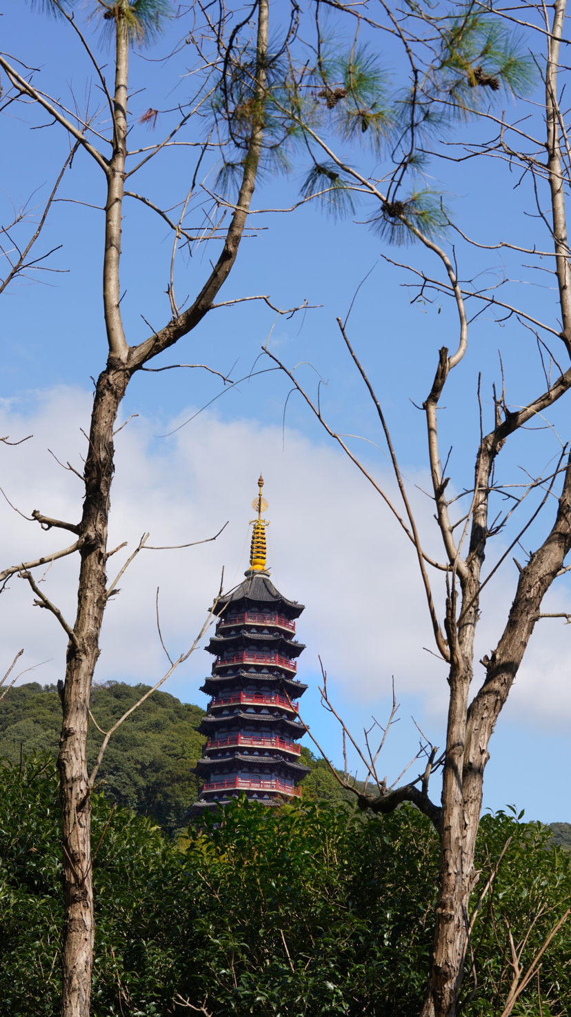 天童山随游,天童山旅游攻略-游侠客社区