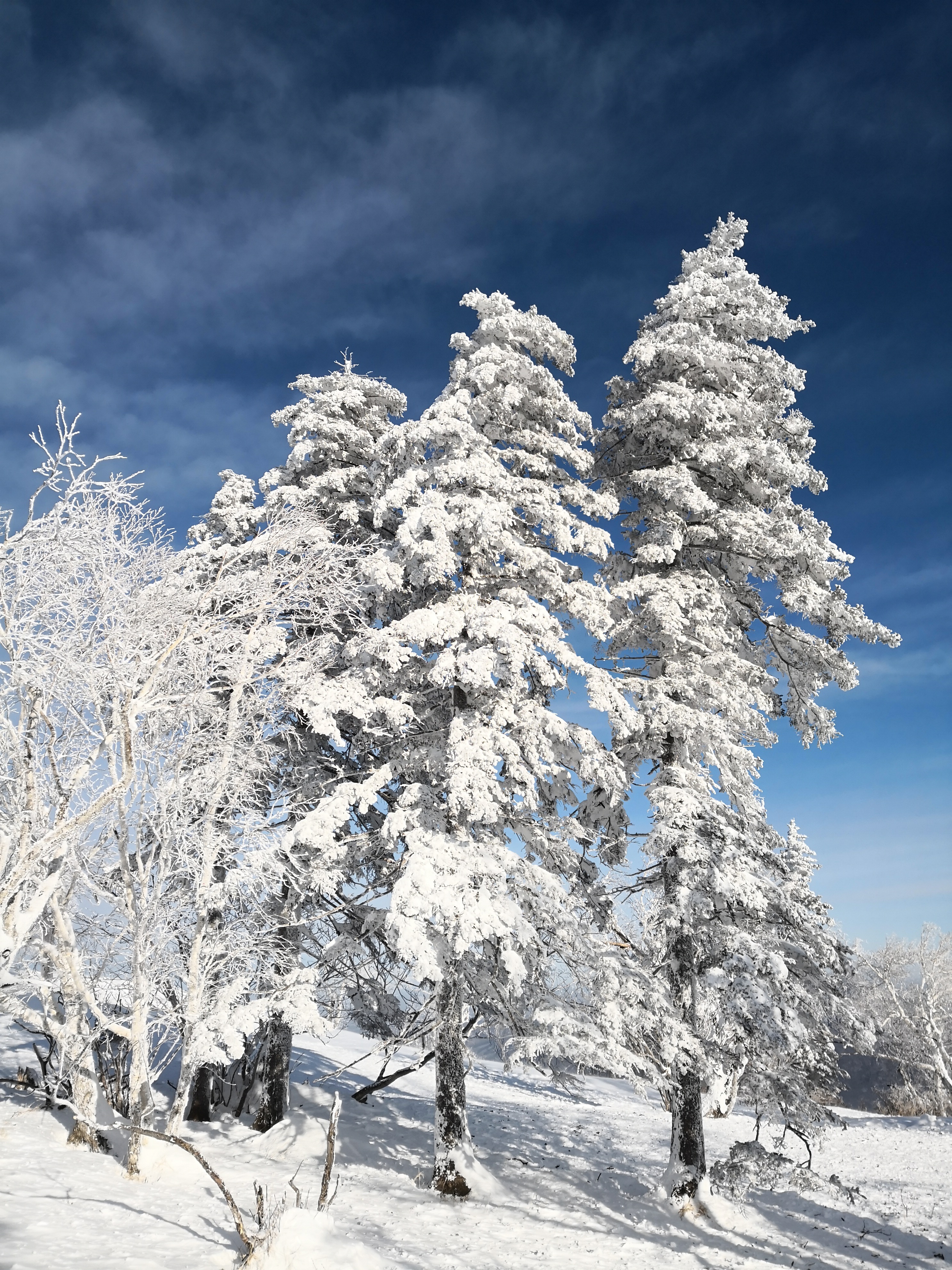我在北方的寒夜里大雪纷飞