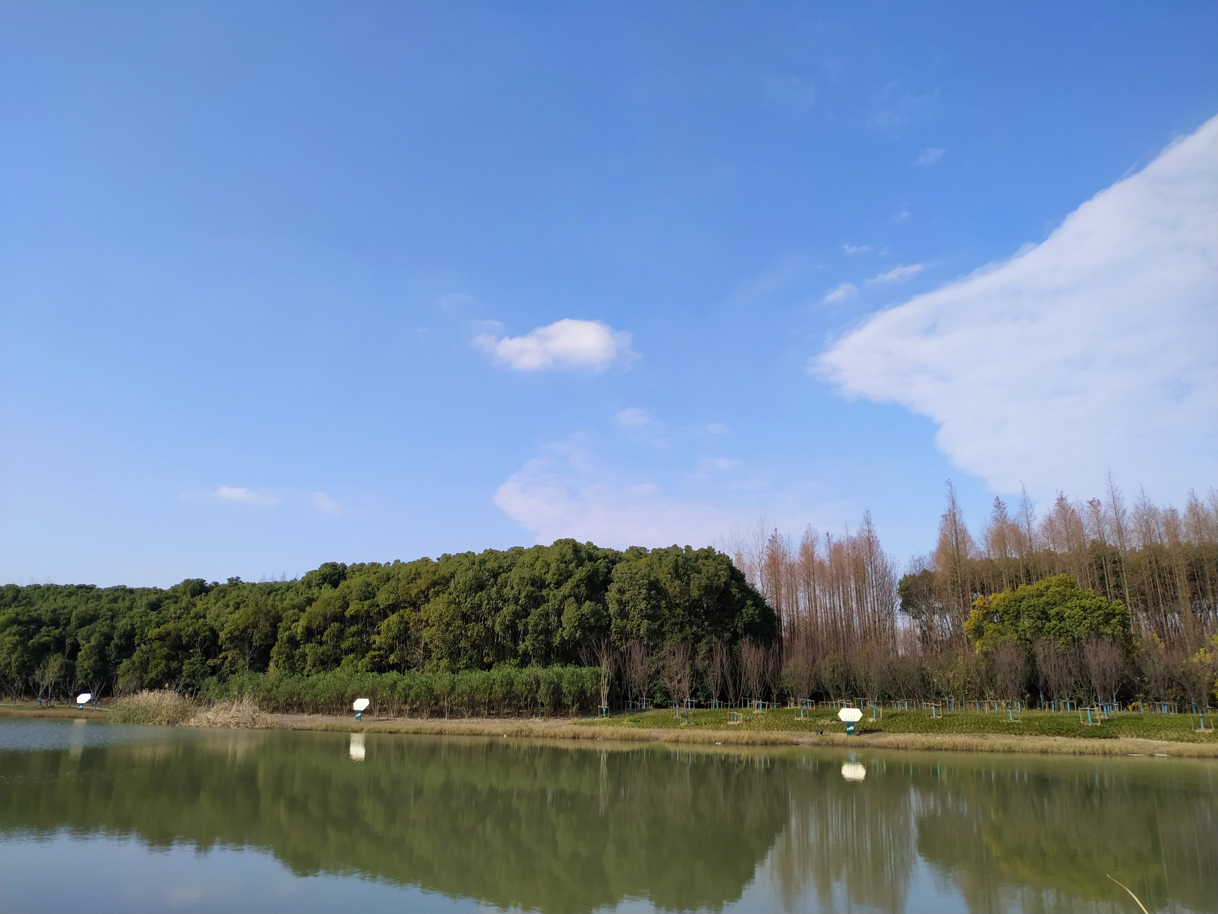 九龍山遊記,嘉興旅遊攻略-遊俠客社區