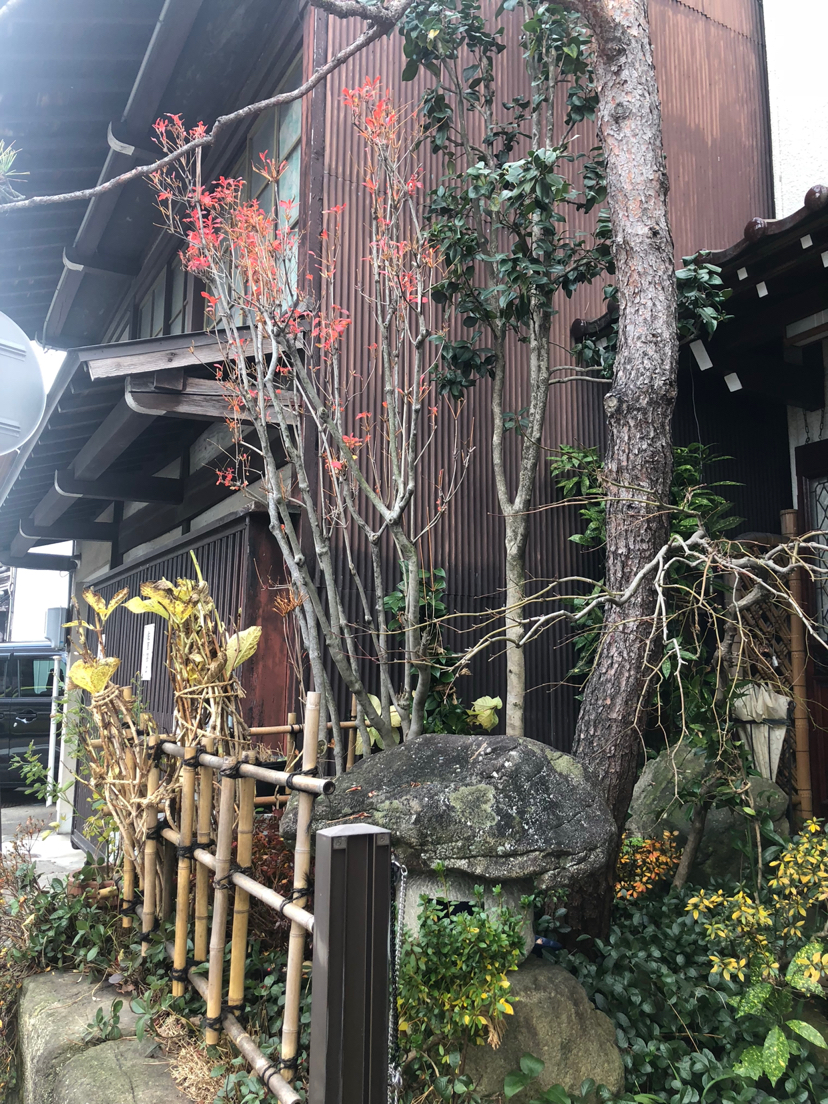 升龙道带你游日本