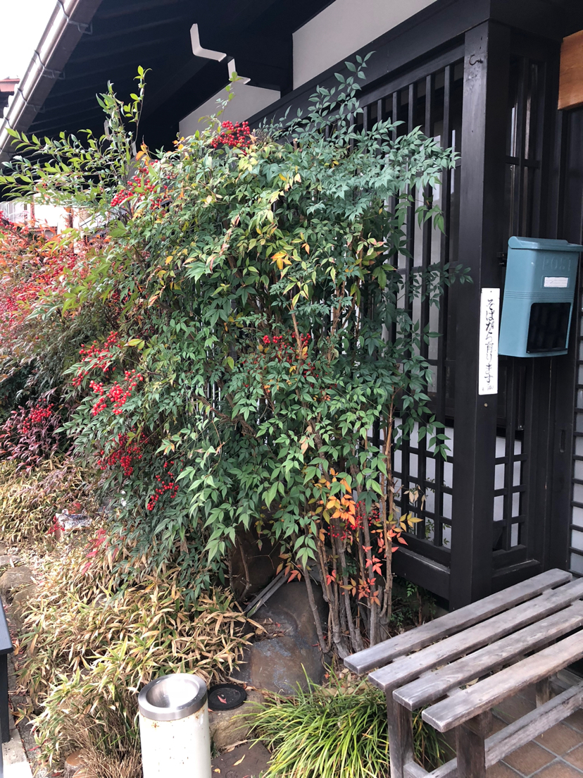 升龙道带你游日本