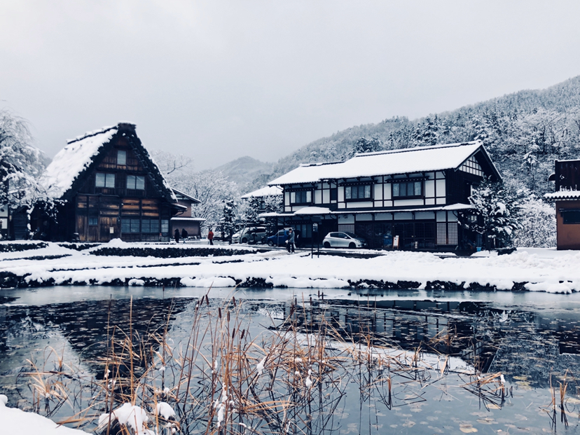 升龙道带你游日本