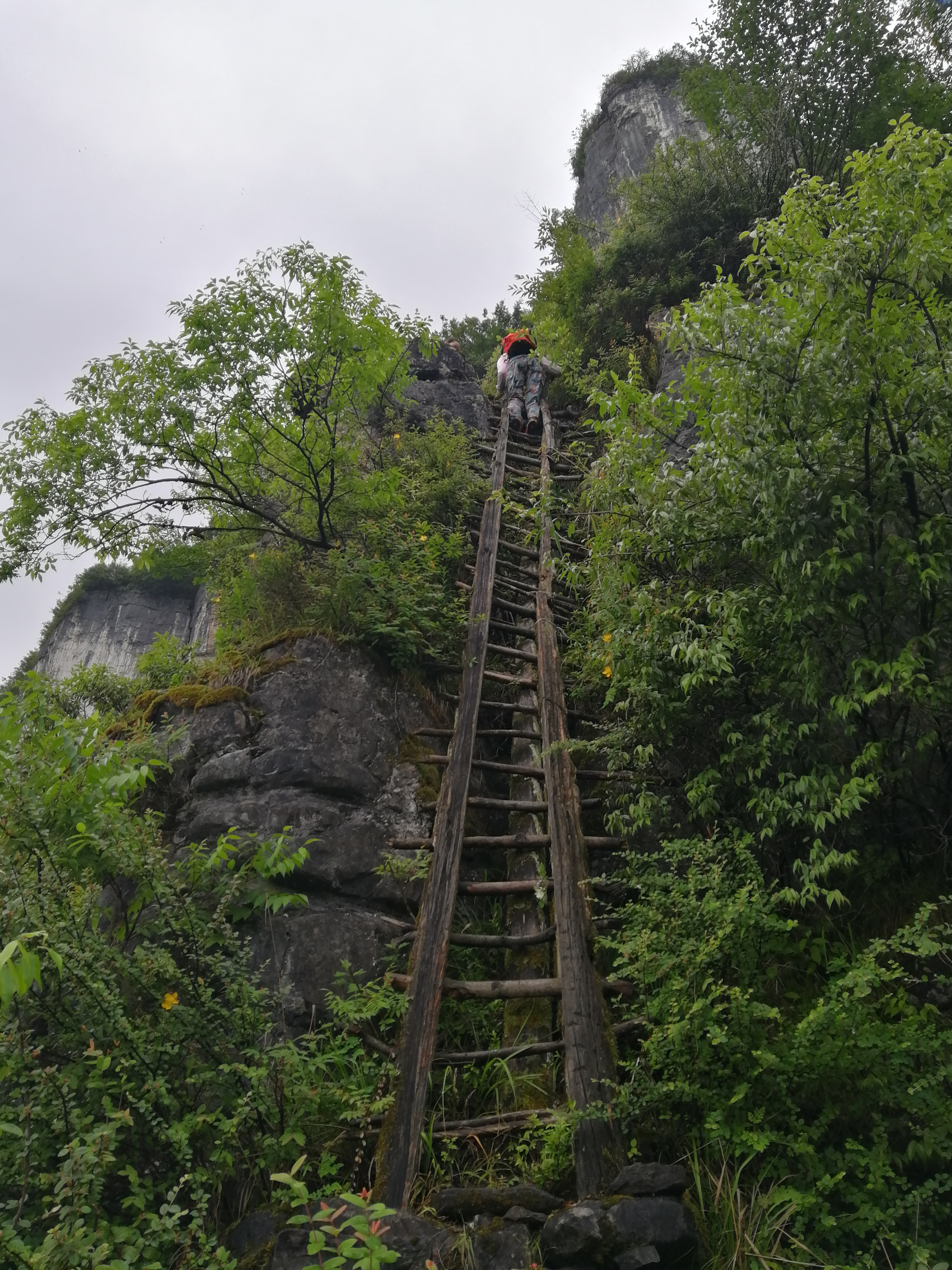 征途甄子岩,征途每一天,南川区旅游攻略-游侠客社区