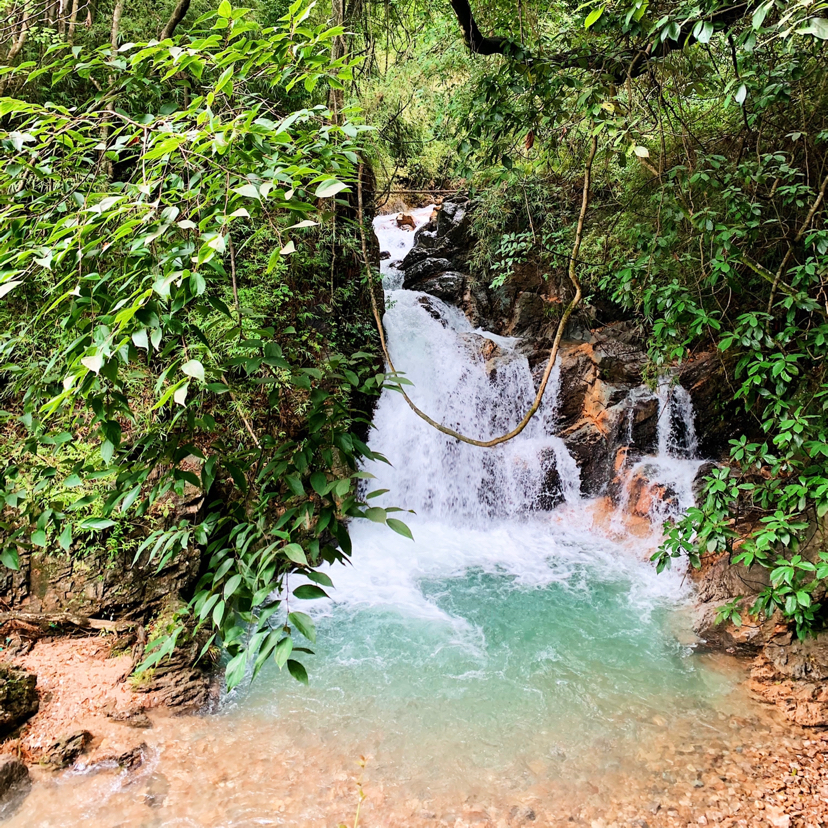 暢遊溪頭,溪頭村旅遊攻略-遊俠客社區