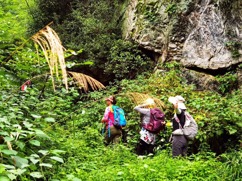安吉菖蒲谷首发野线，特价大团50人。五瀑飞流，山清水秀，爬山涉水，野趣多多；碧潭幽深好水，碧绿翠竹好看……累并且快乐着…