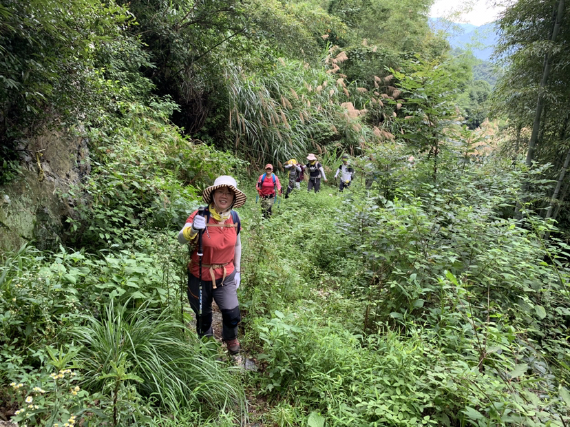 安吉菖蒲谷首发野线，特价大团50人。五瀑飞流，山清水秀，爬山涉水，野趣多多；碧潭幽深好水，碧绿翠竹好看……累并且快乐着…