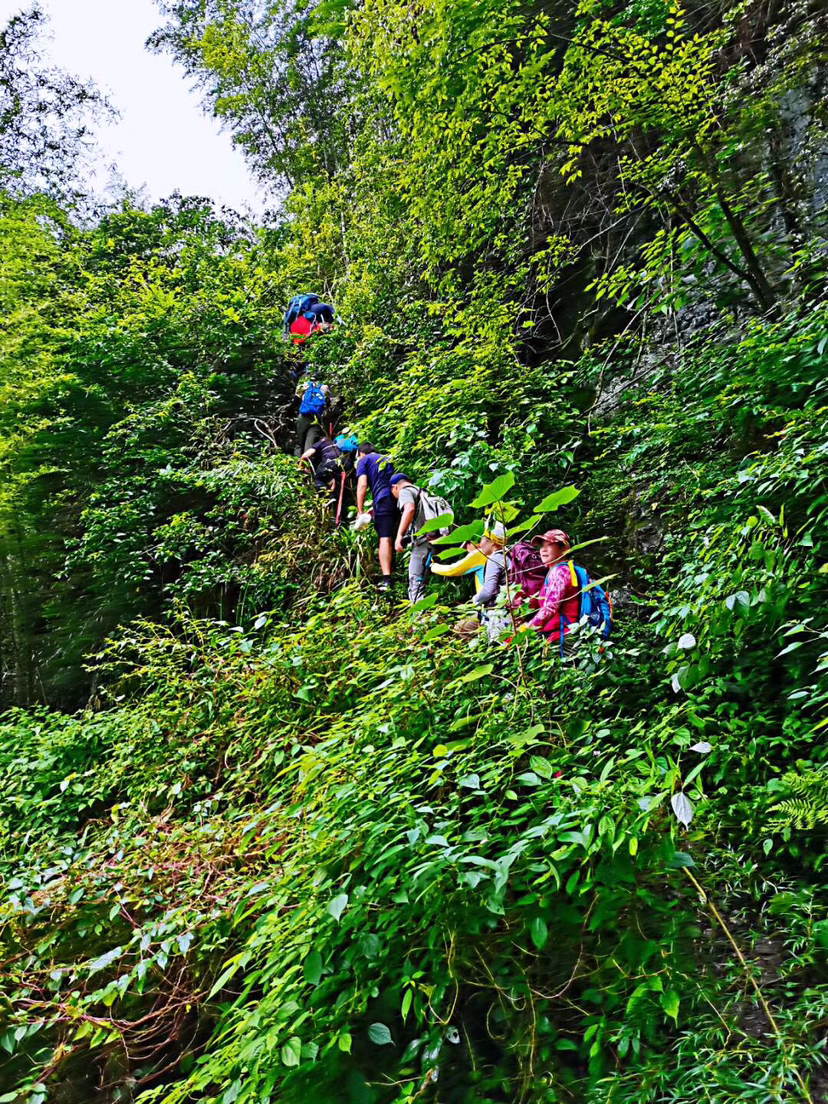 安吉菖蒲谷首发野线，特价大团50人。五瀑飞流，山清水秀，爬山涉水，野趣多多；碧潭幽深好水，碧绿翠竹好看……累并且快乐着…