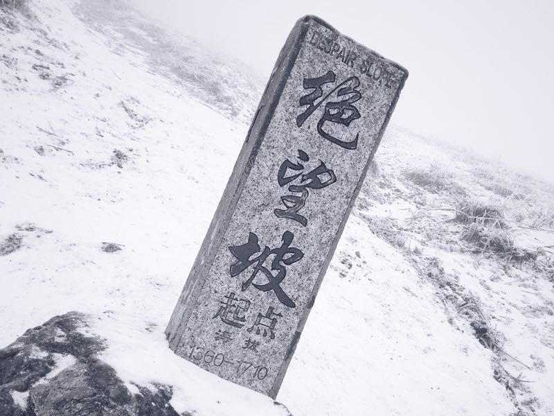 #游侠报道#给生命以时间,不如给时间以生命