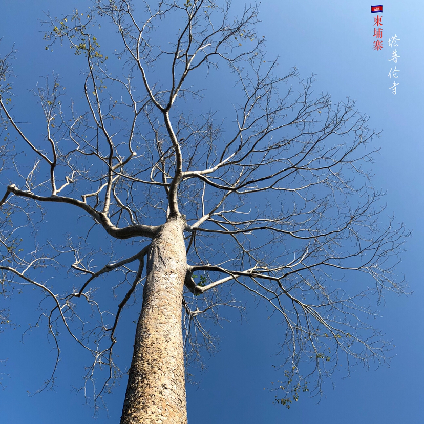 五天四夜柬埔寨|几千块解决异国风情神秘绝美大片