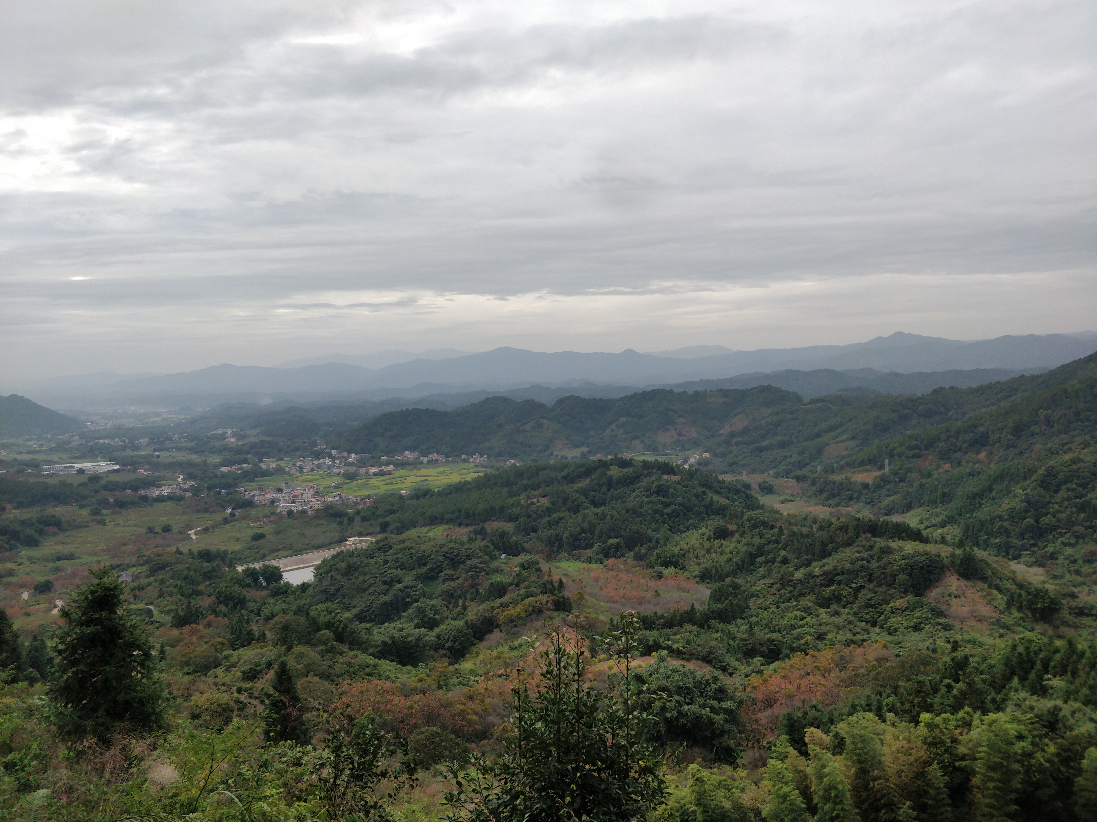 桂峰山-赏上百亩柿子林#我拍了拍秋天#,桂峰山旅游攻略-游侠客社区