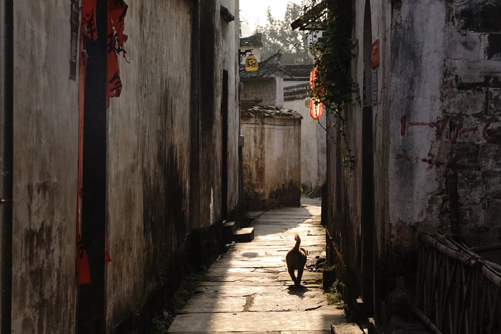 徽州旅游笔记▪️西递古村里的山河与人家