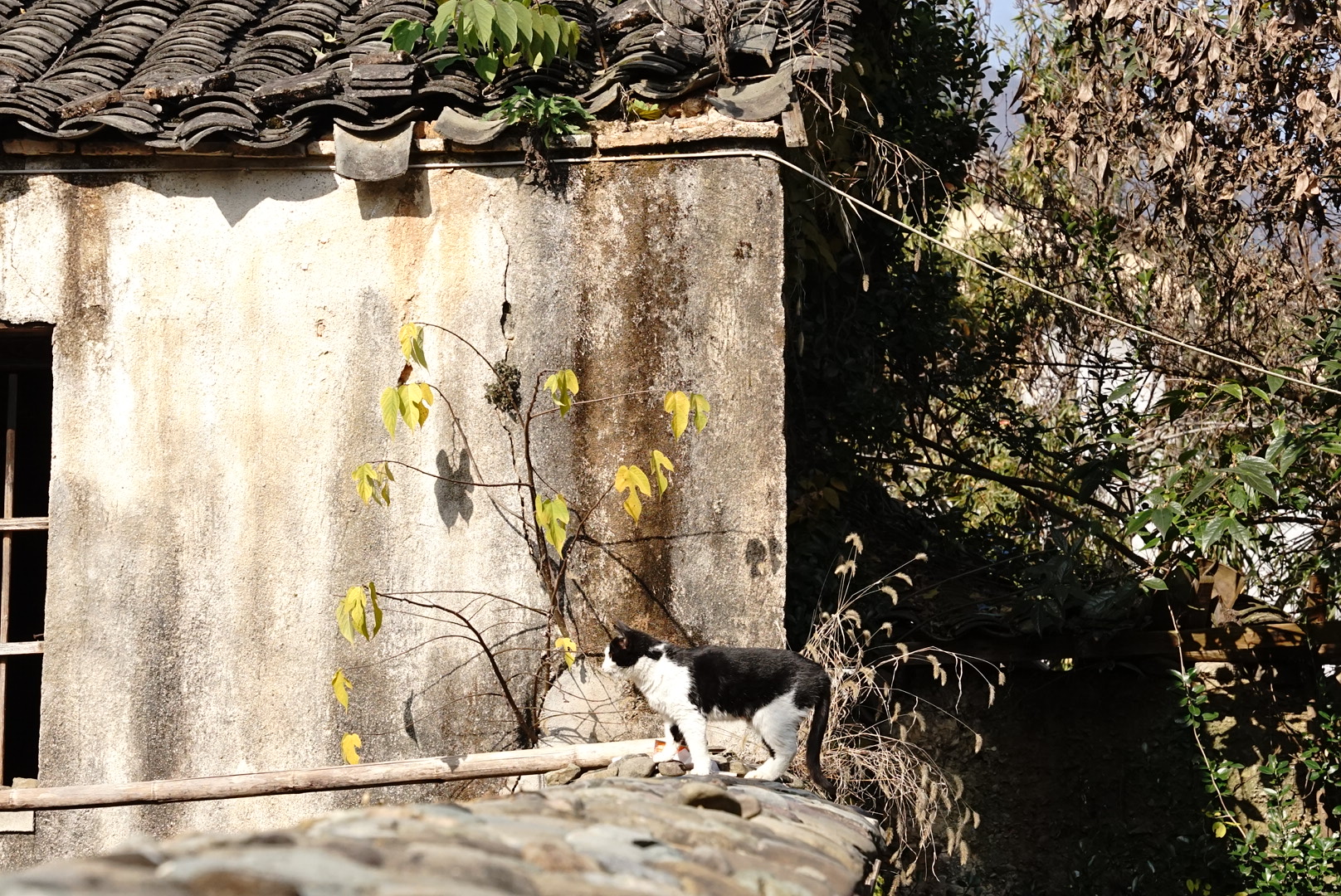 徽州旅游笔记▪️西递古村里的山河与人家