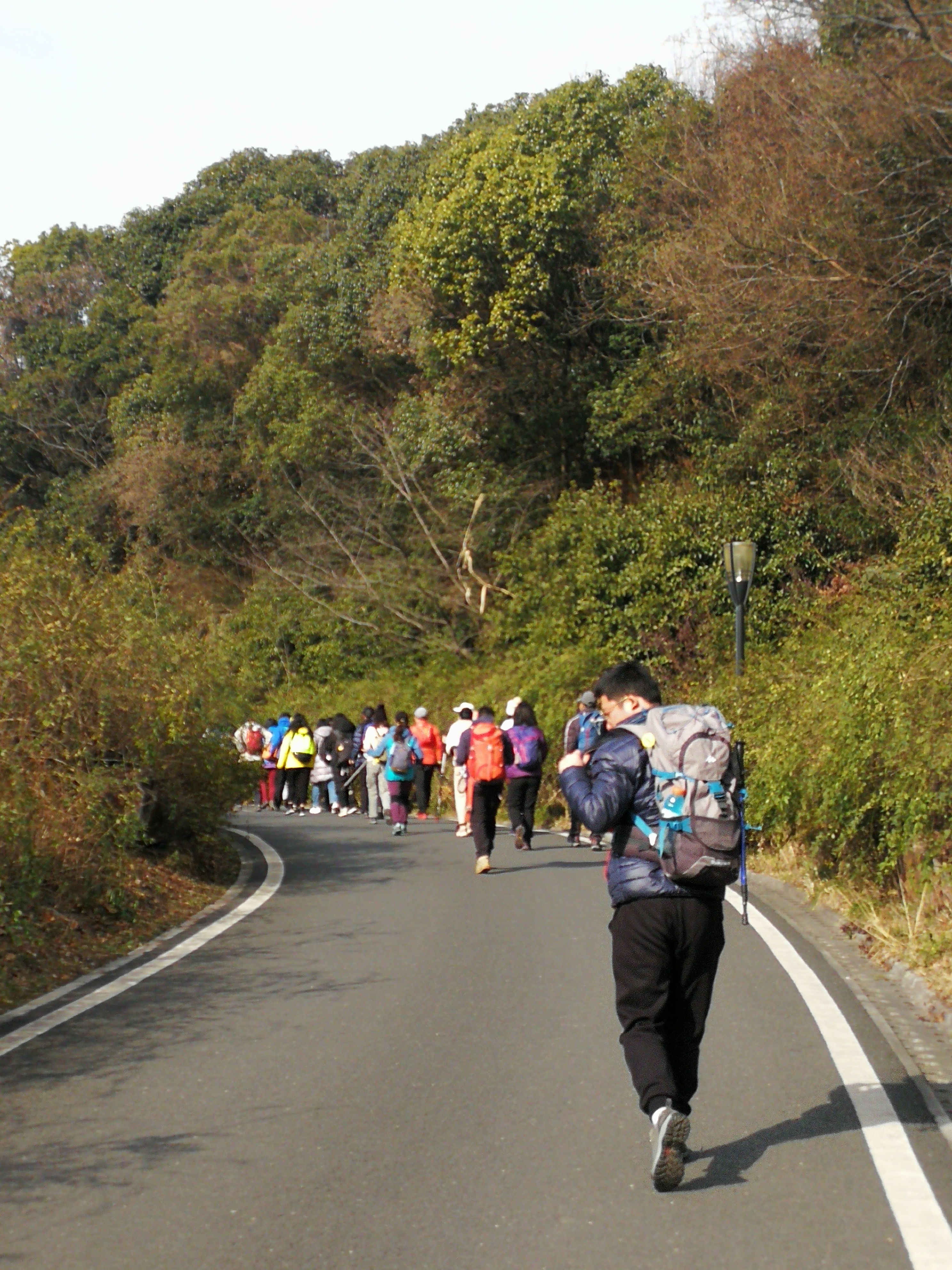 冬日林间漫步军嶂古道徒步,军嶂古道旅游攻略-游侠客社区