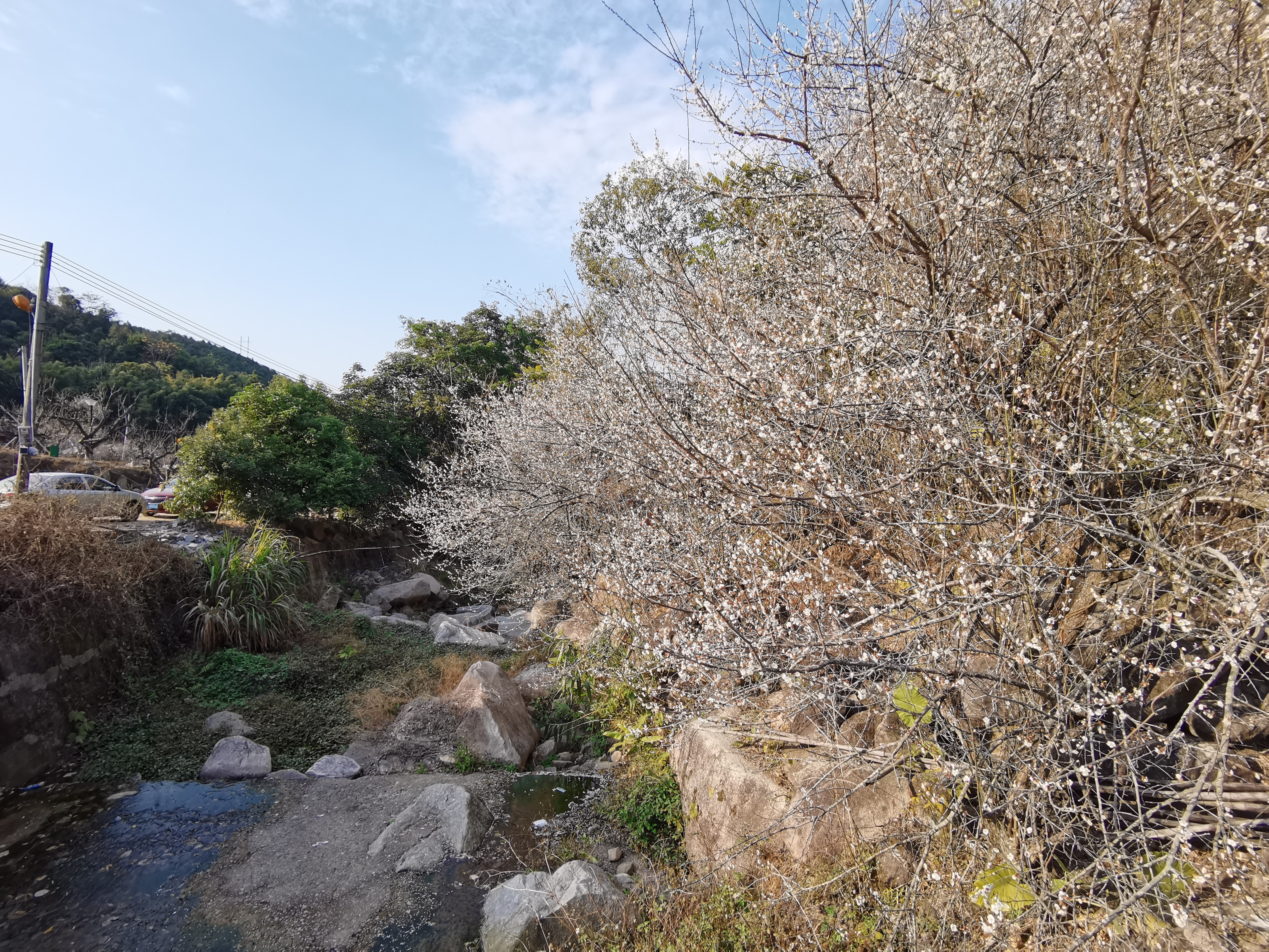 梅园,广州旅游攻略-游侠客社区