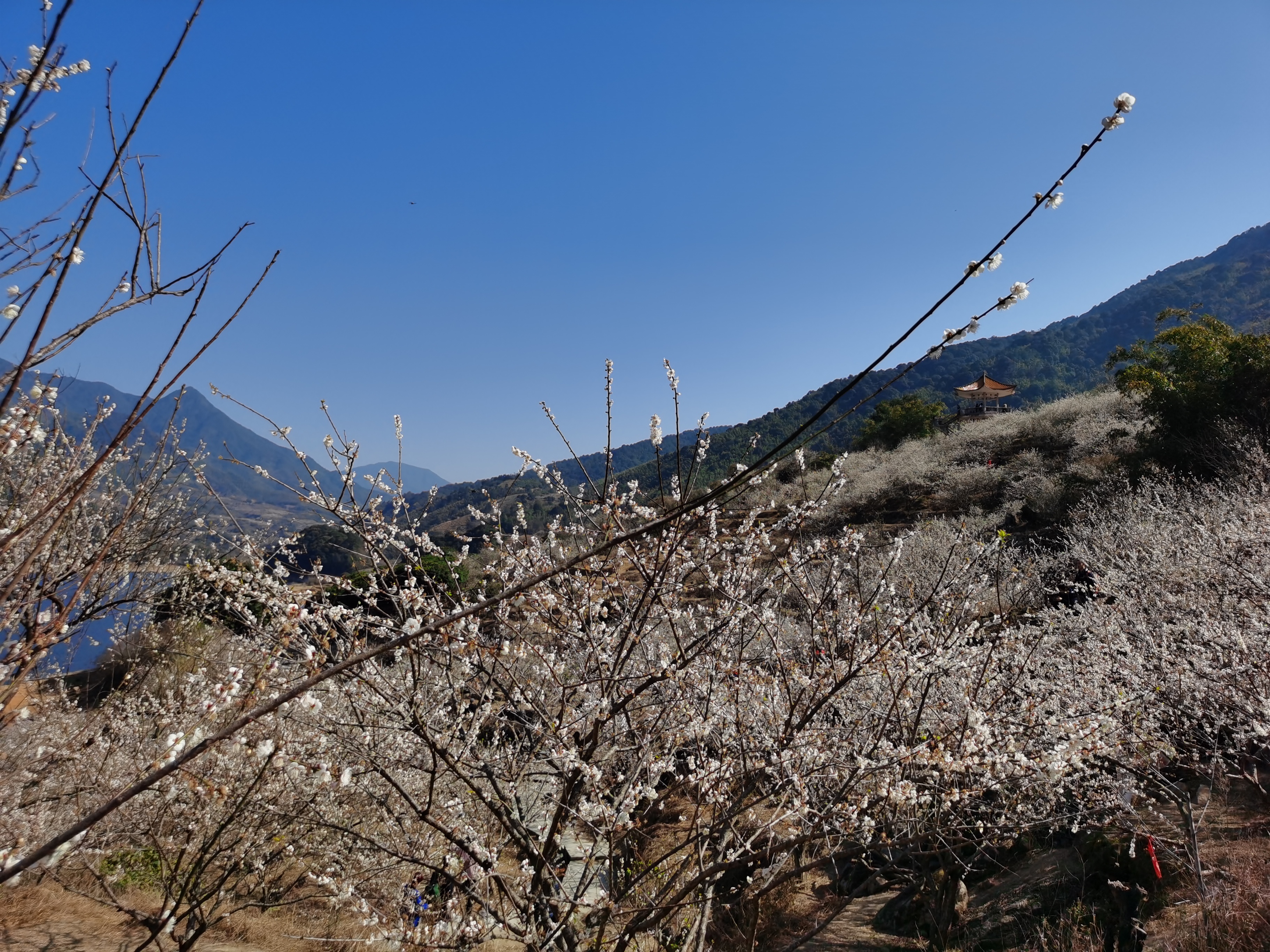 梅花园,广州旅游攻略-游侠客社区