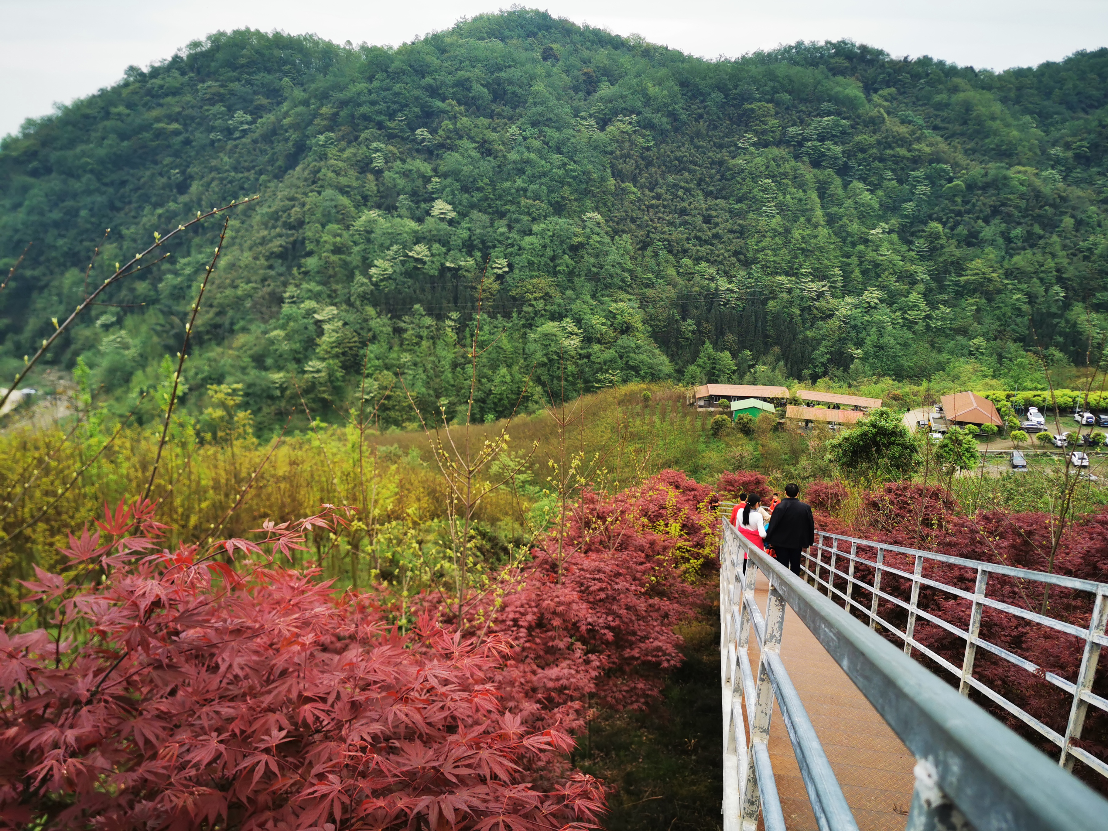 柒月麓山,绵竹旅游攻略-游侠客社区