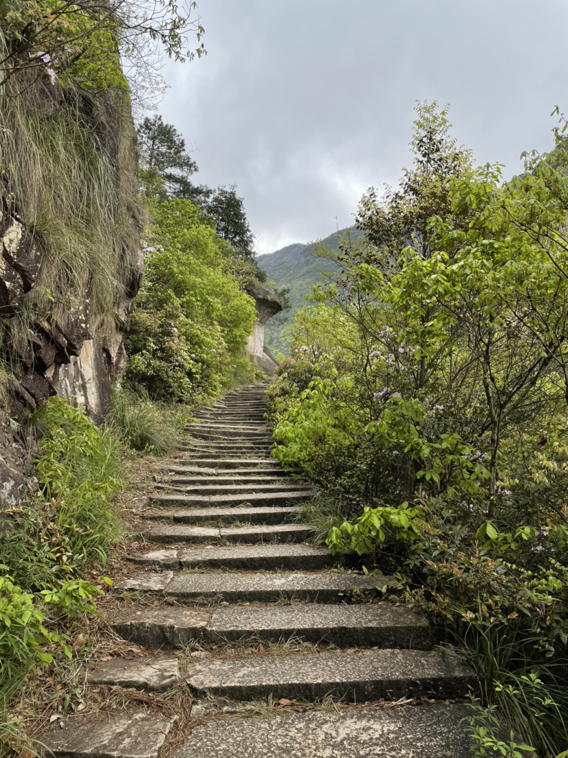 10 成功避开下雨天的徽杭记,徽杭古道旅游攻略-游侠客社区