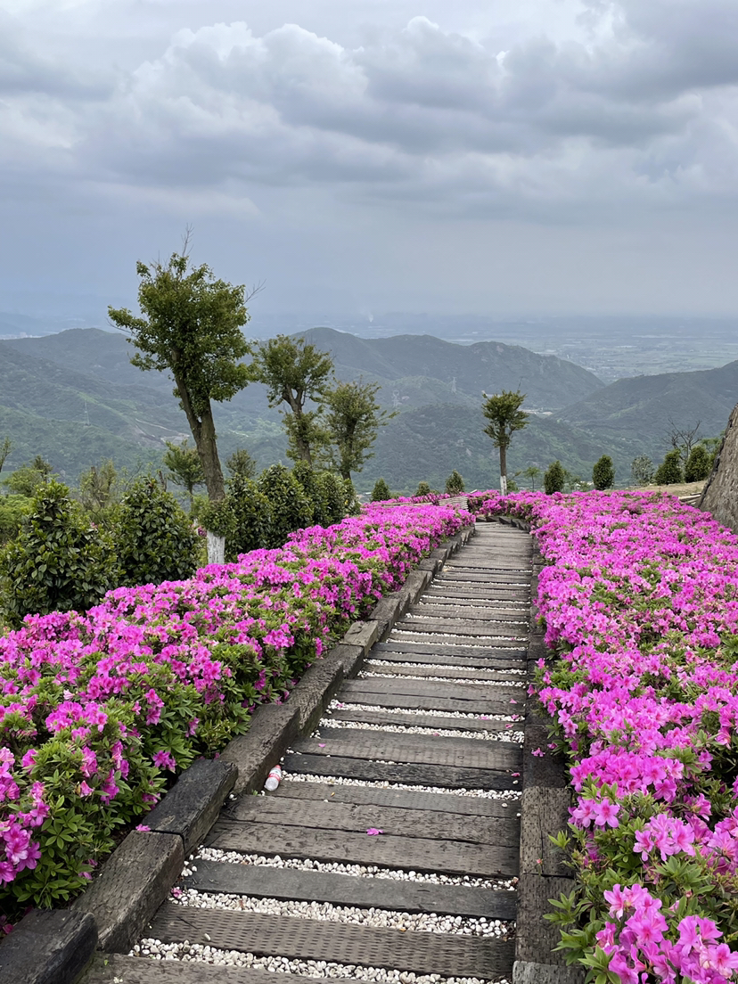 奉化金峨村旅游图片