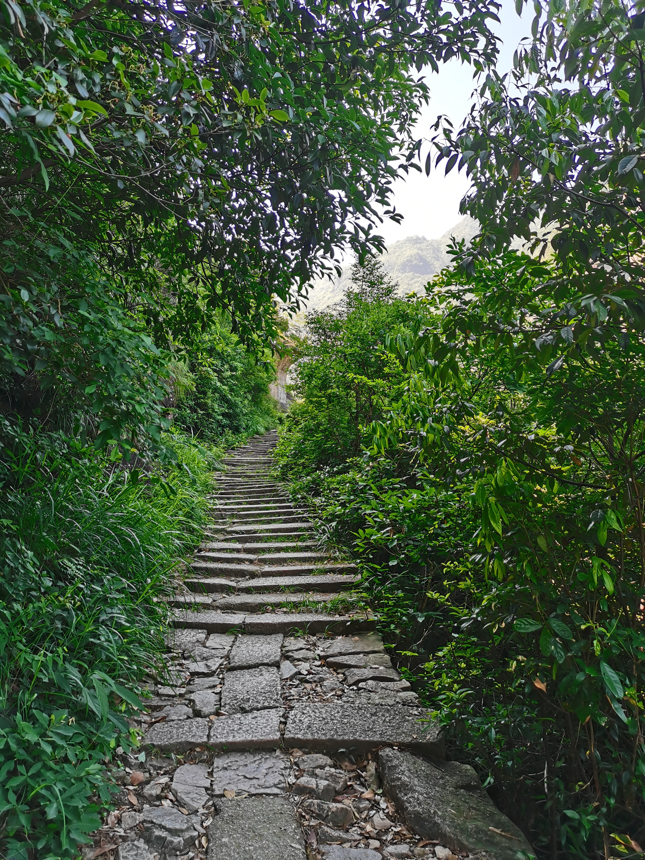 空山但闻人语声峰回路转不见君,徽杭古道旅游攻略-游侠客社区