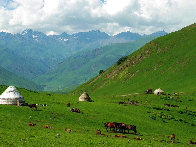 新疆阿拉善地区图片
